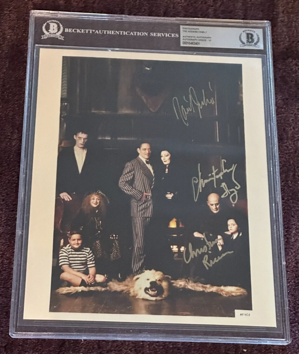 RAUL JULIA — RAUL JULIA, C. LLOYD & C. RICCI Signed ADDAMS FAMILY 8X10 PHOTO Beckett AUTO 10, изображение 2