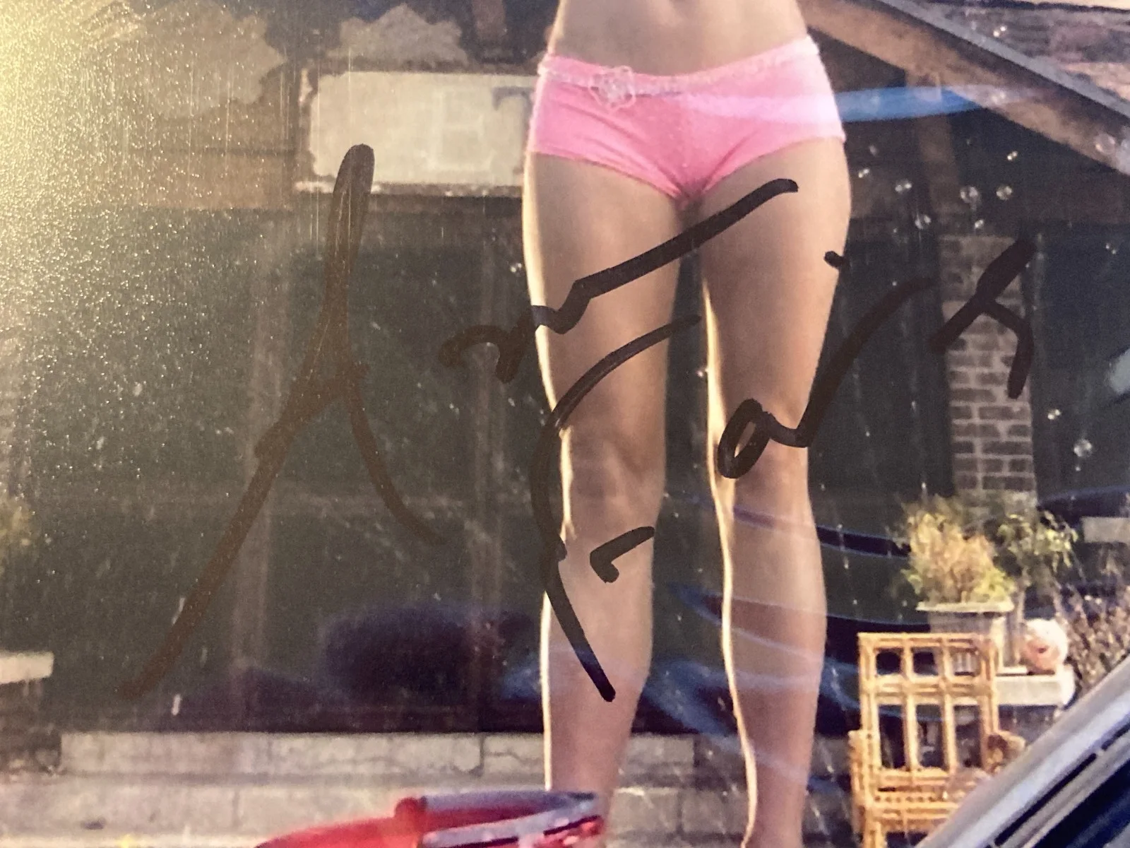 ANNA FARIS AUTOGRAPHED 8X10 PHOTO with COA - THE HOUSE BUNNY!, изображение 2