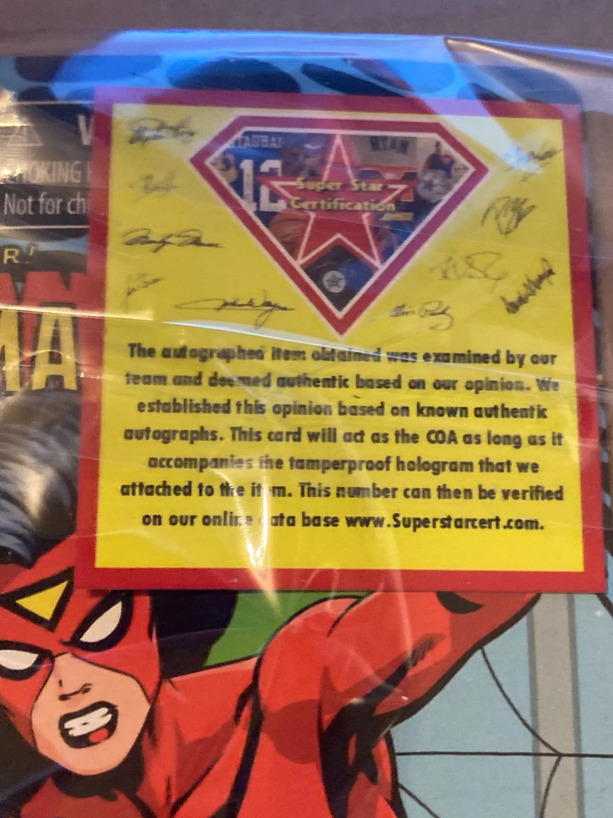 JOAN VAN ARK - SIGNED SPIDER WOMAN FIGURE with COA unopened, image 3