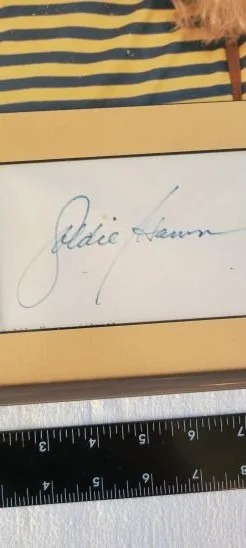 GOLDIE HAWN — GOLDIE HAWN FRAMED AUTOGRAPH AND PHOTO WITH COA - MGM GRAND ITEM, изображение 2