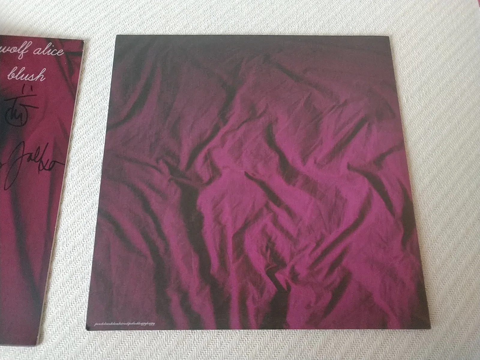 Wolf Alice Blush Signed 2013 10" E.P. Rare OOP! PSA LOA, image 3