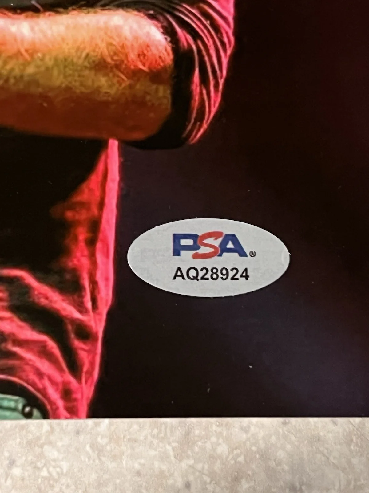 Trey Anastasio Signed 8x10 Photo PSA / DNA COA Phish TAB Autograph Auto [3], изображение 3