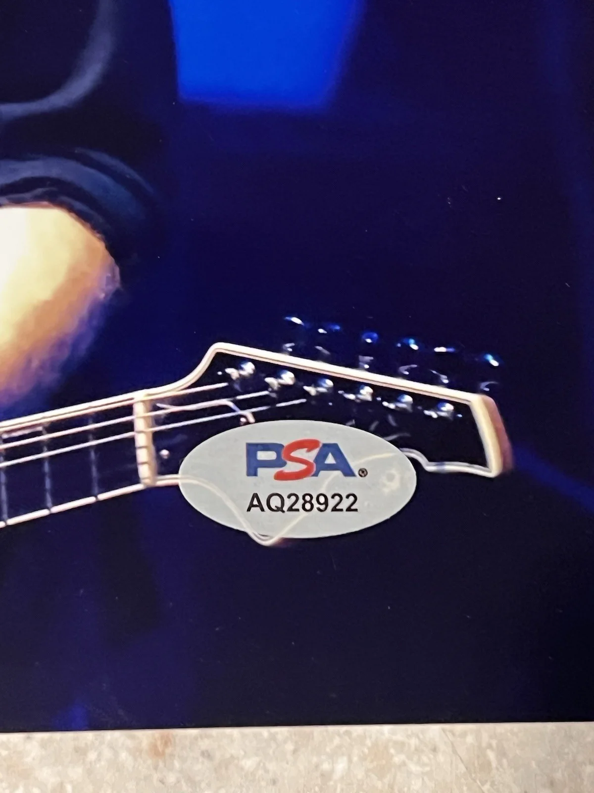 Trey Anastasio Signed 8x10 Photo PSA / DNA COA Phish TAB Autograph Auto [1], изображение 3