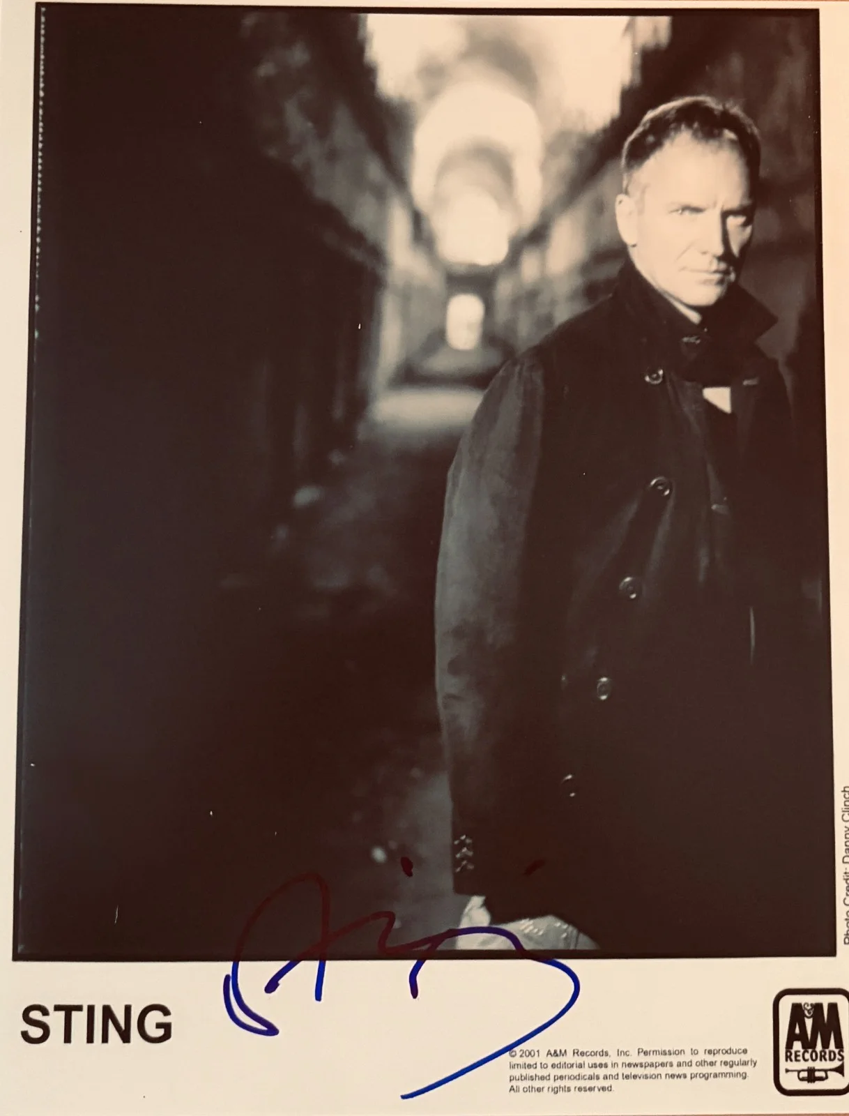 STING — Sting Signed•8x10 BW Vintage Photo•THE POLICE• TODD MUELLER AUTOGRAPHS COA, изображение 2