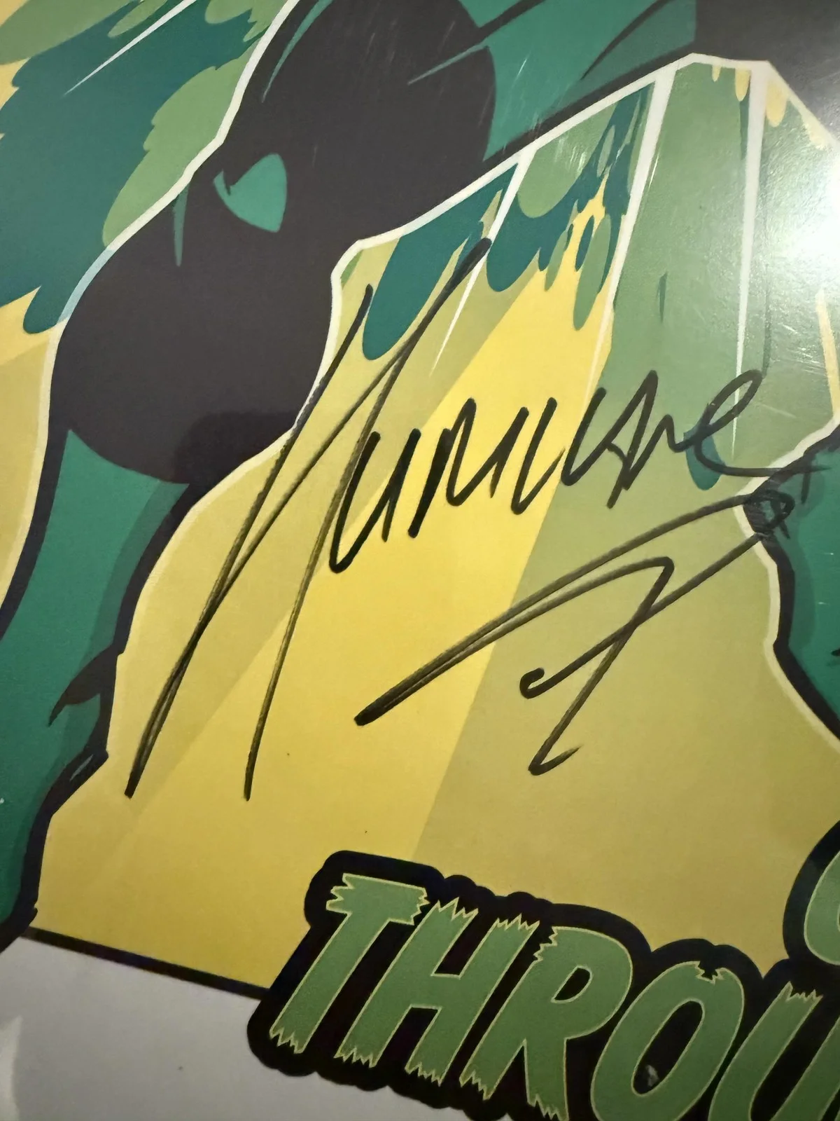 Shane Helms Hurricane Signed Art Print Autograph COA WWE Poster, изображение 2
