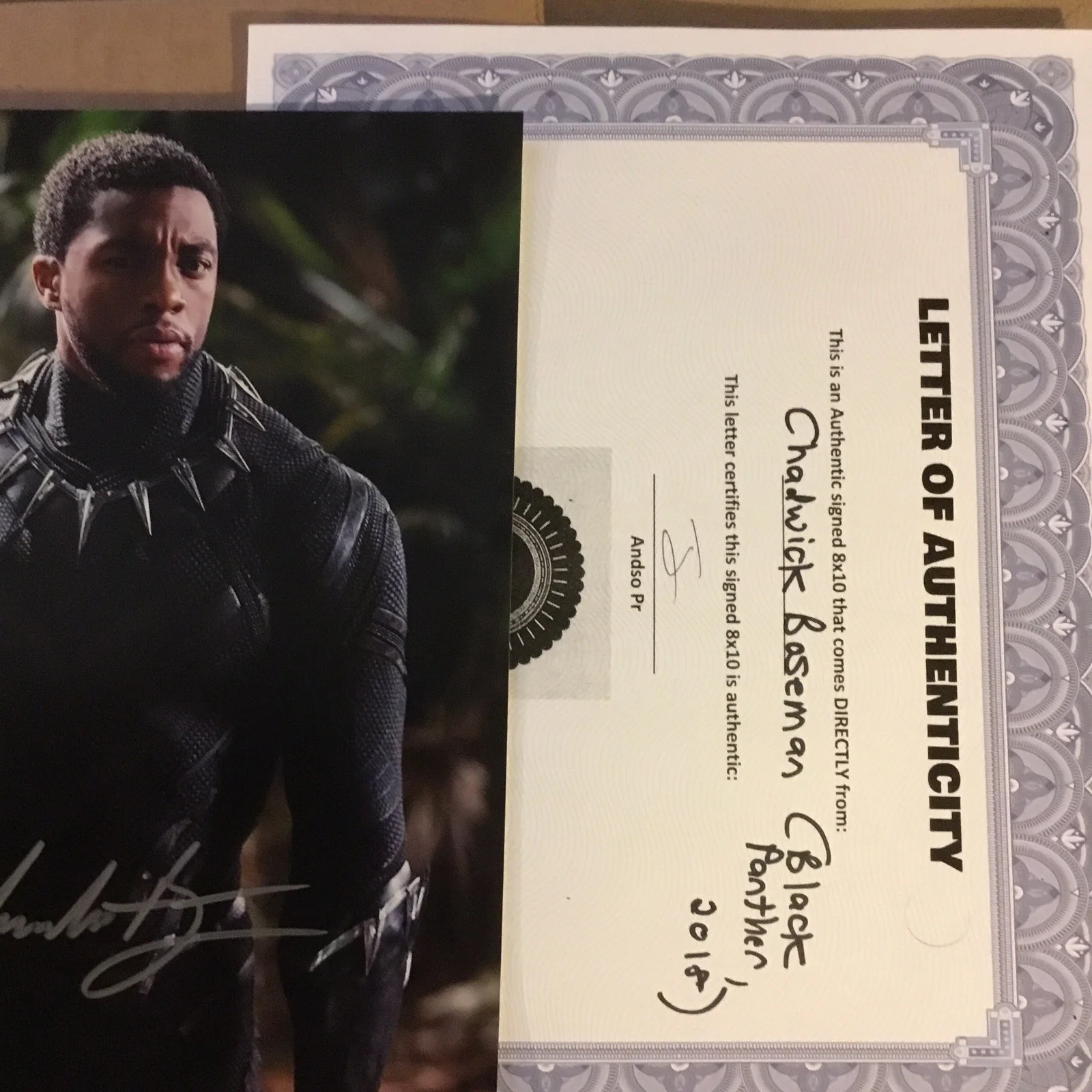 Chadwick Boseman (1976-2020) signed Black Panther 8 X 10 Photo with COA !, image 2