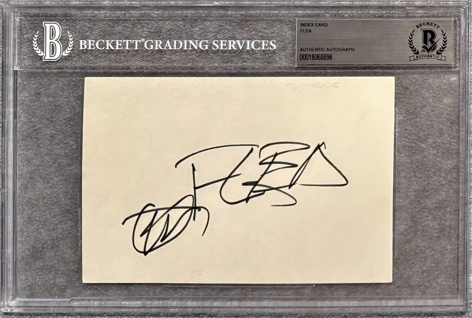 FLEA Signed Autographed 4"x6" INDEX CARD Bassist RED HOT CHILI PEPPERS BECKETT, изображение 3