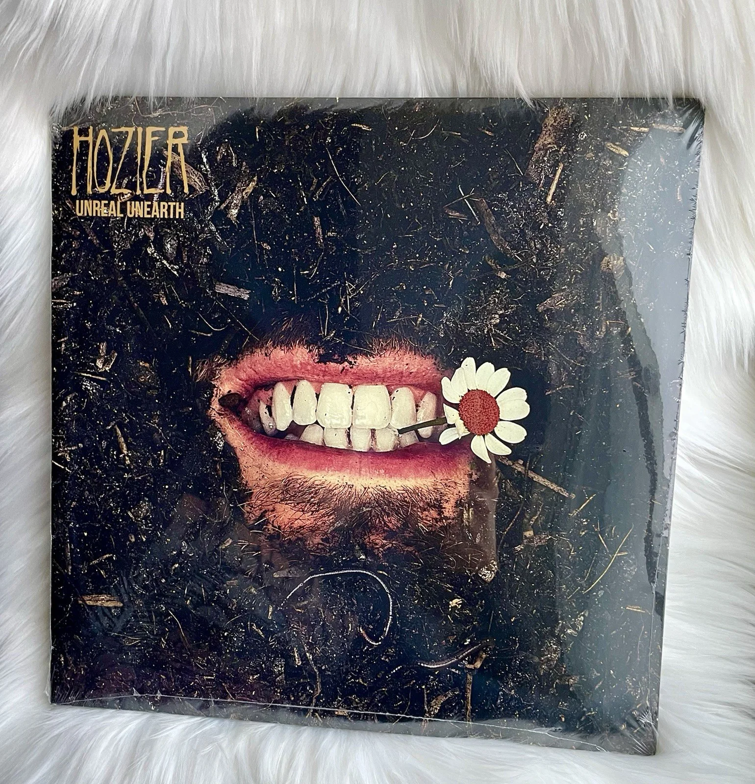 HOZIER 🌼 Unreal Unearth SIGNED AUTOGRAPH Art Card Insert & 2LP Vinyl SEALED, изображение 2