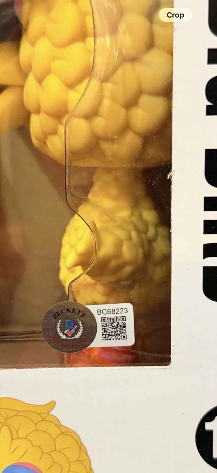 CAROLL SPINNEY — CAROLL SPINNEY SIGNED BIG BIRD POP FUNKO FIGURE SESAME STREET PROOF JSA, image 4