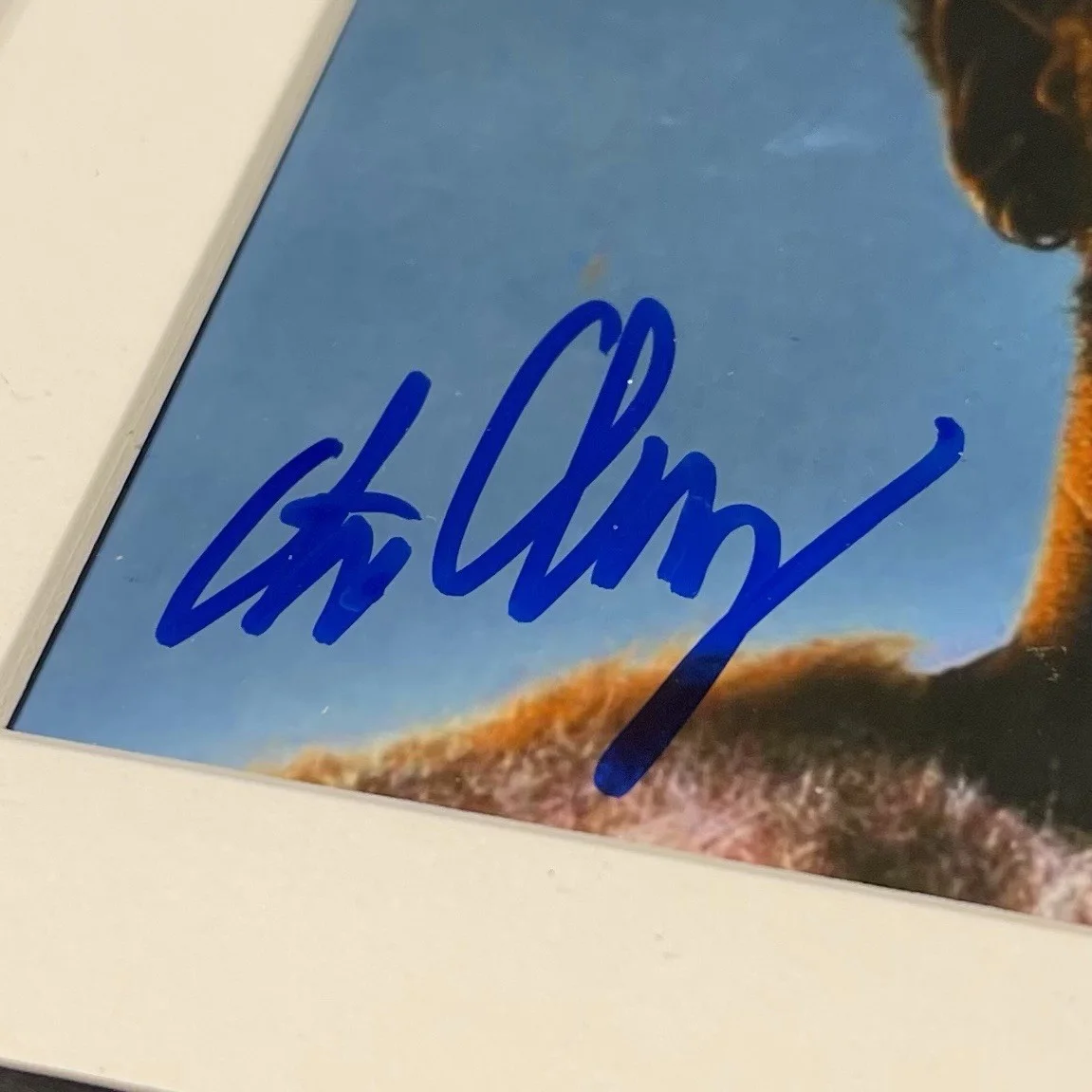 CAUTIOUS CLAY SIGNED DEADPAN LOVE CD ALBUM AUTOGRAPH FRAMED PSA COA, изображение 3