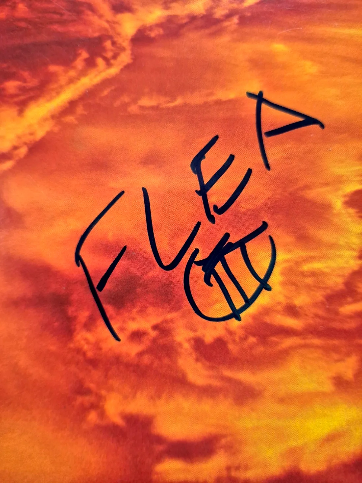 RED HOT CHILI PEPPERS SIGNED CALIFORNICATION ALBUM FLEA FRUSCIANTE SMITH PSA COA, image 3