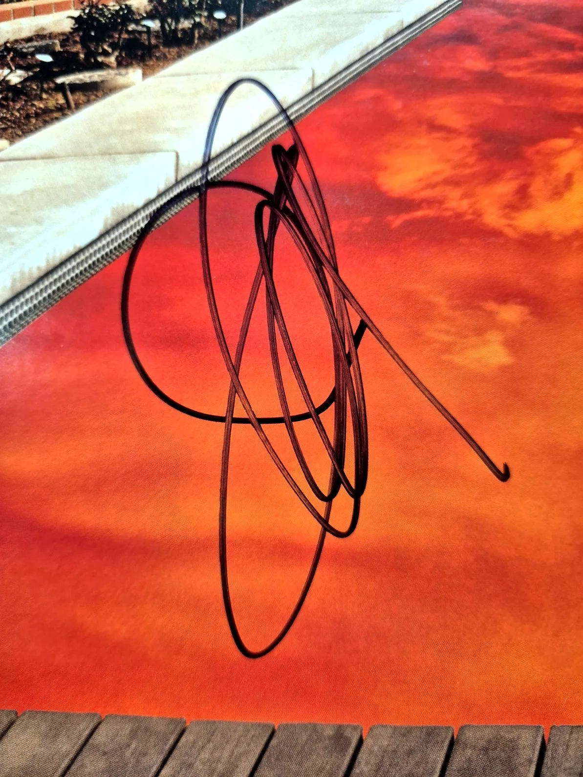 RED HOT CHILI PEPPERS SIGNED CALIFORNICATION ALBUM FLEA FRUSCIANTE SMITH PSA COA, image 4