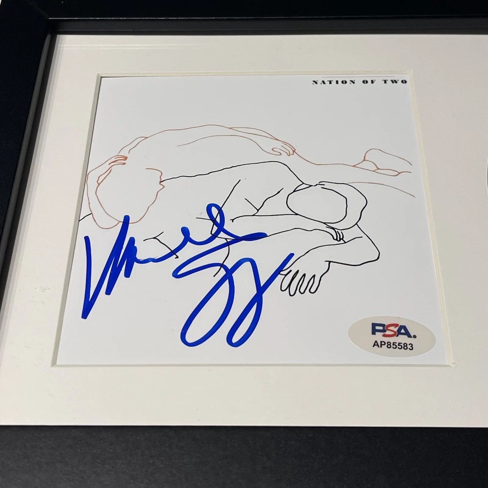 VANCE JOY SIGNED NATION OF TWO CD ALBUM AUTOGRAPH FRAMED PSA COA, изображение 2