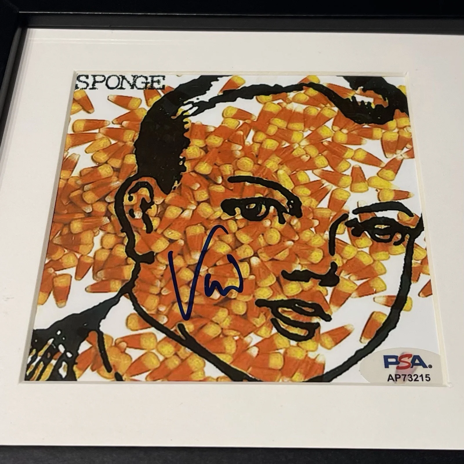 VINNIE DOMBROSKI SIGNED SPONGE ROTTING PIÑATA CD ALBUM AUTOGRAPH FRAMED PSA COA, изображение 2