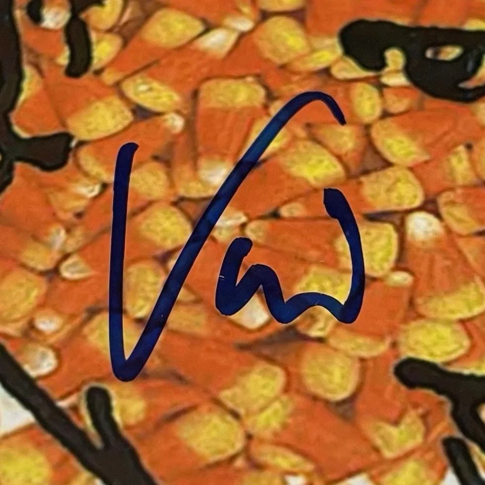 VINNIE DOMBROSKI SIGNED SPONGE ROTTING PIÑATA CD ALBUM AUTOGRAPH FRAMED PSA COA, изображение 3