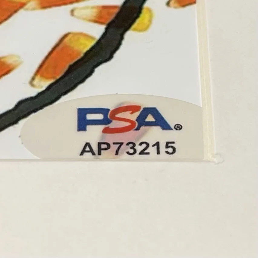 VINNIE DOMBROSKI SIGNED SPONGE ROTTING PIÑATA CD ALBUM AUTOGRAPH FRAMED PSA COA, изображение 4