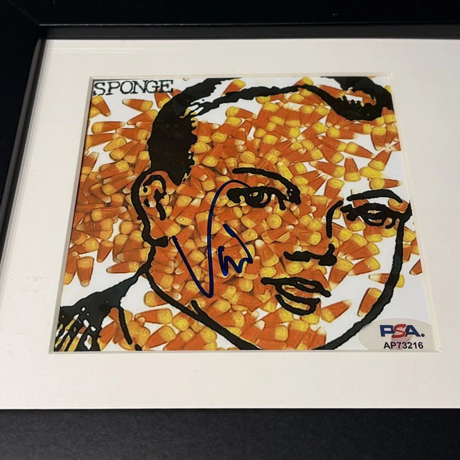 VINNIE DOMBROSKI SIGNED SPONGE ROTTING PIÑATA CD ALBUM AUTOGRAPH FRAMED PSA COA, изображение 2