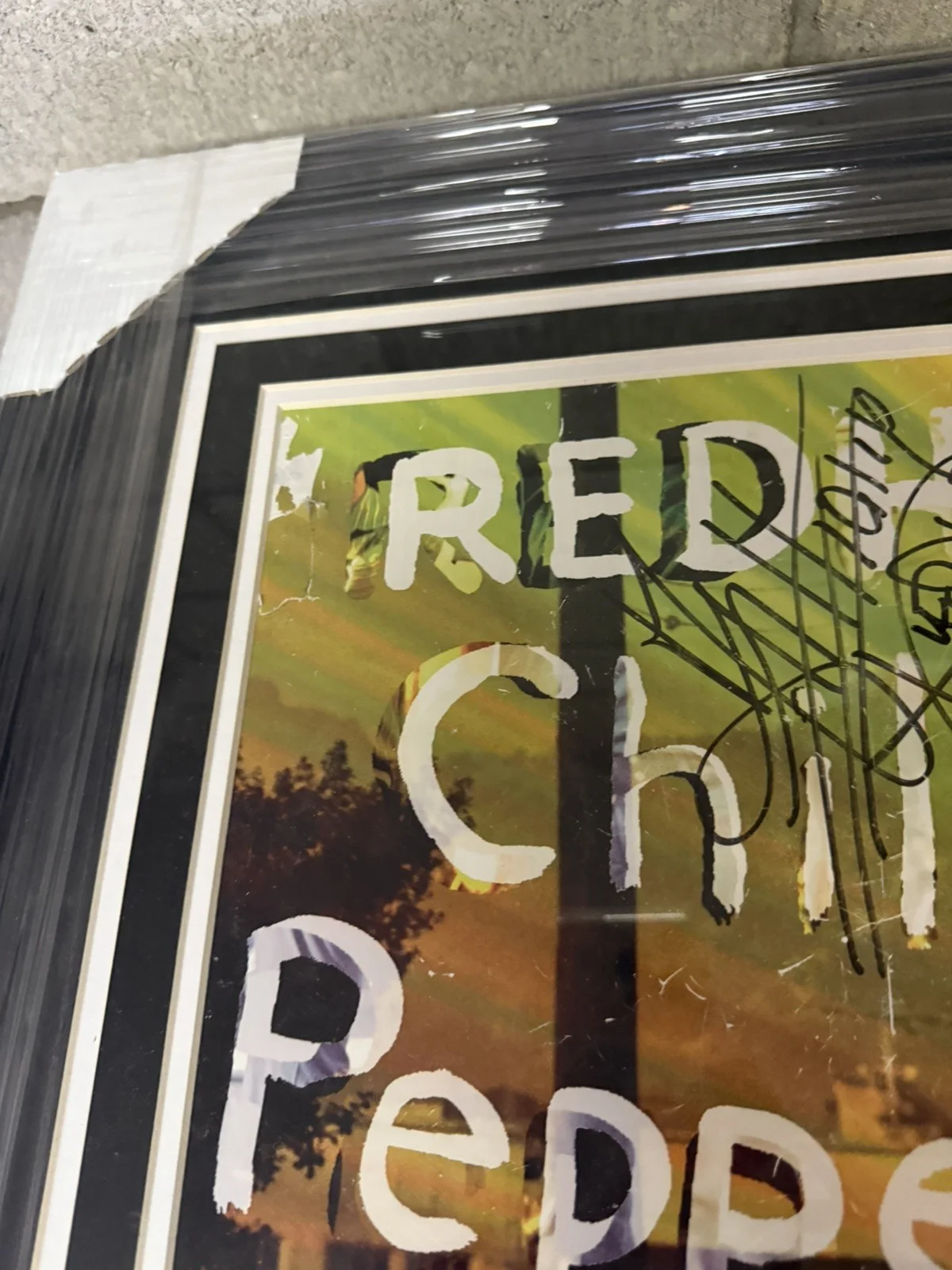 RED HOT CHILI PEPPERS Signed Tour Poster Custom Framed JSA COA FULL BAND, изображение 3