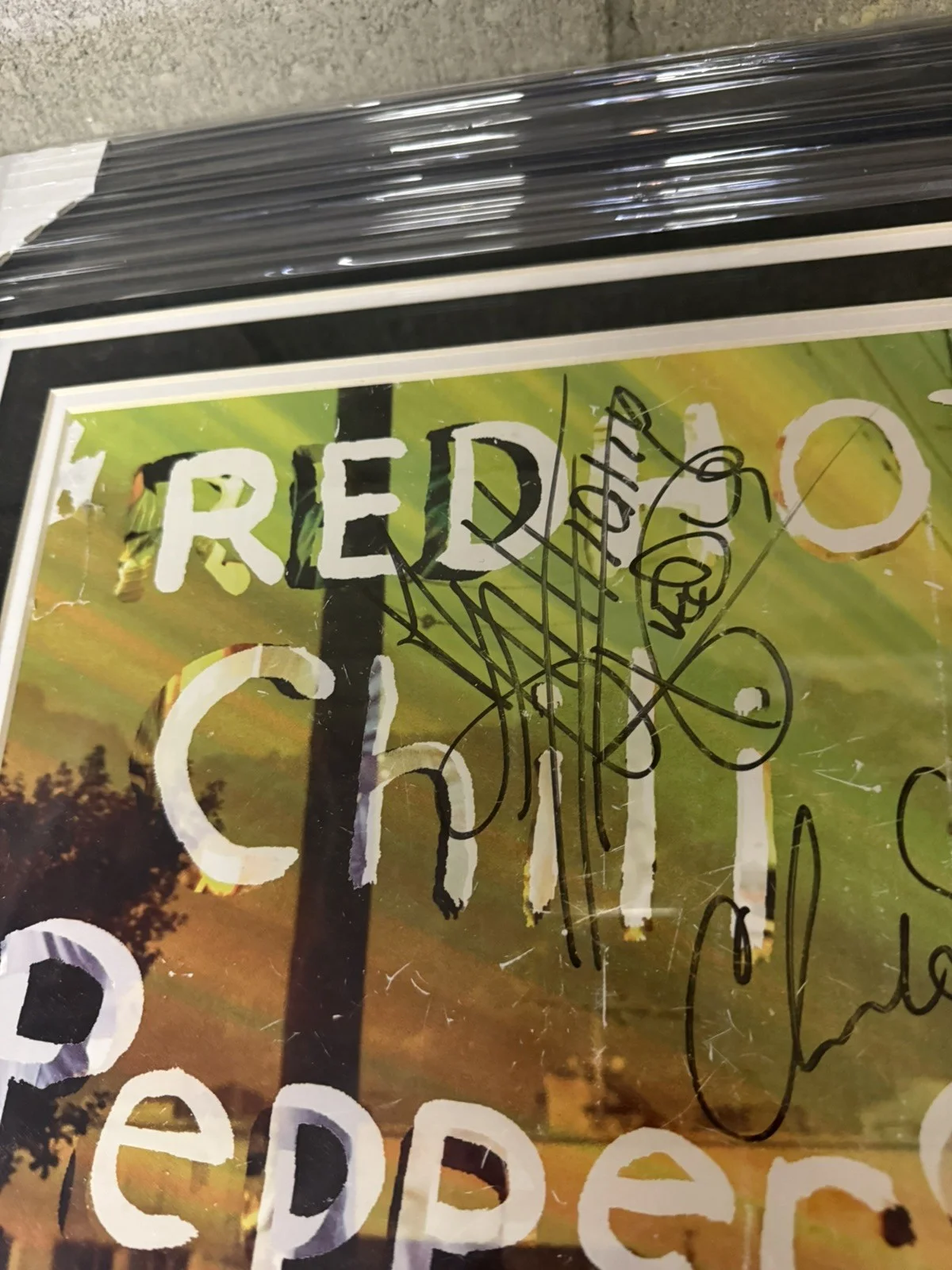 RED HOT CHILI PEPPERS Signed Tour Poster Custom Framed JSA COA FULL BAND, изображение 4