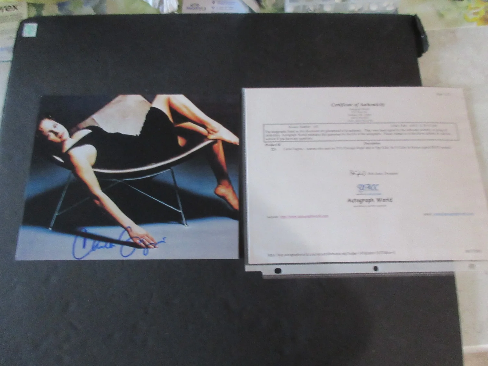 CARLA GUGINO — CARLA GUGINO - AUTOGRAPH 8X10 COLOR PHOTO COAa