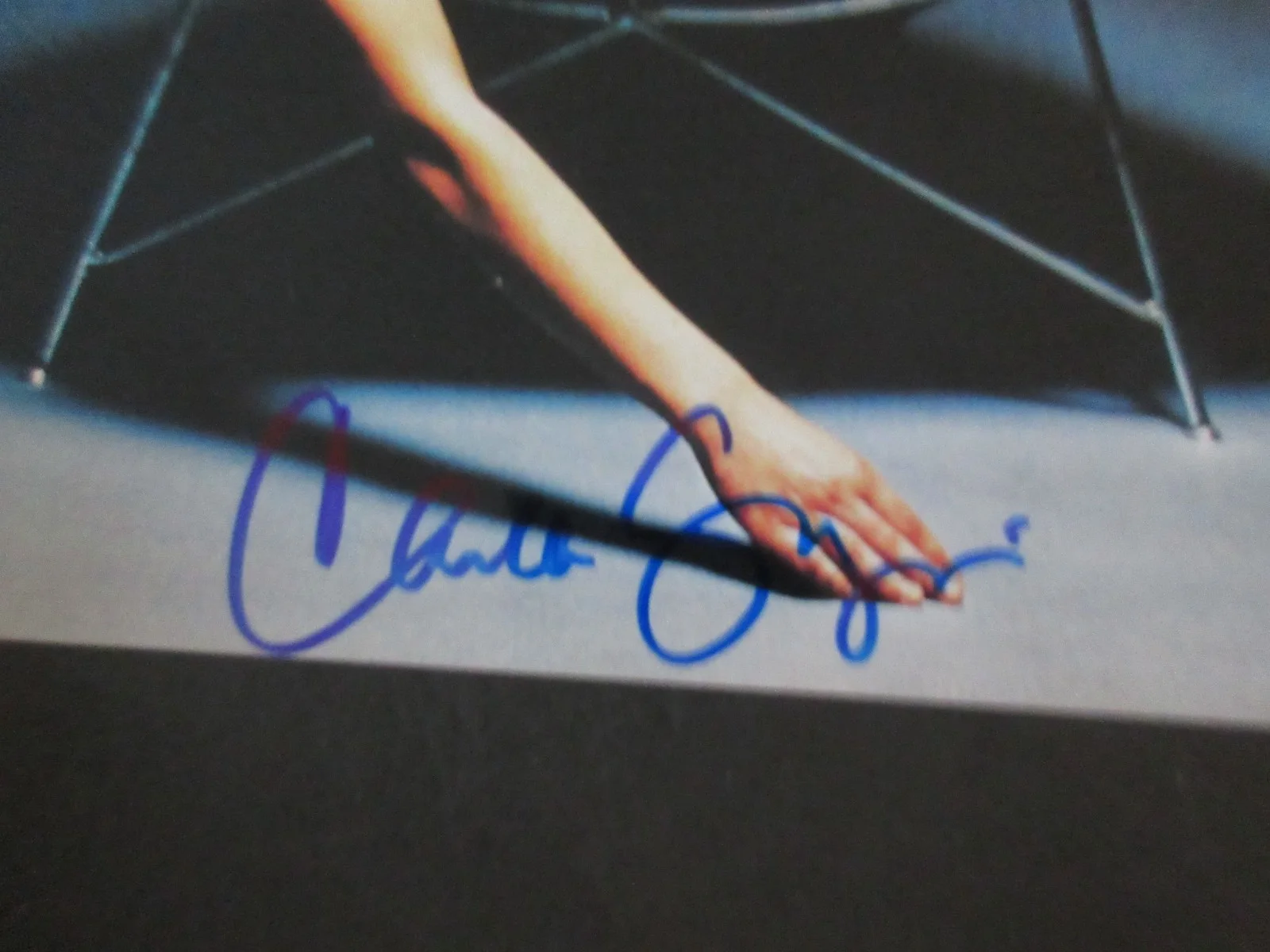 CARLA GUGINO — CARLA GUGINO - AUTOGRAPH 8X10 COLOR PHOTO COAa, изображение 5