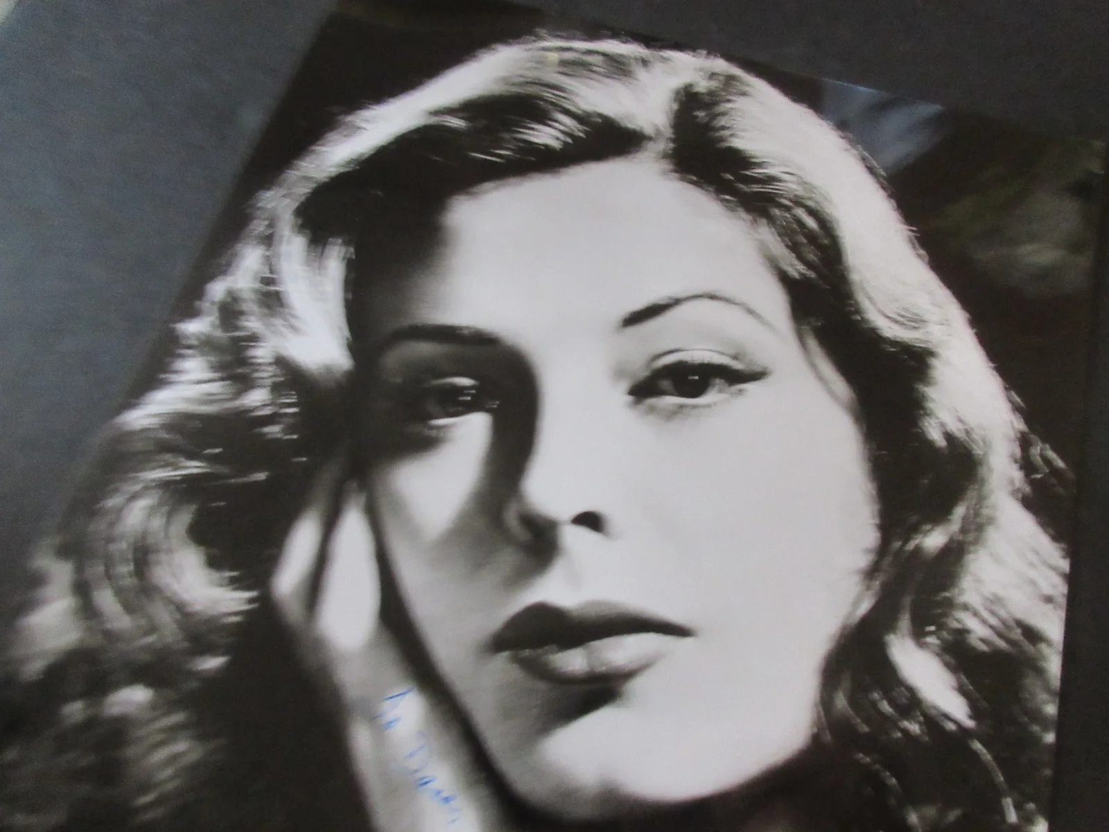 JANE GREER - AUTOGRAPH 8X10 B, W PHOTO COA — JANE GREER - AUTOGRAPH 8X10 B&W PHOTO COAa, изображение 4