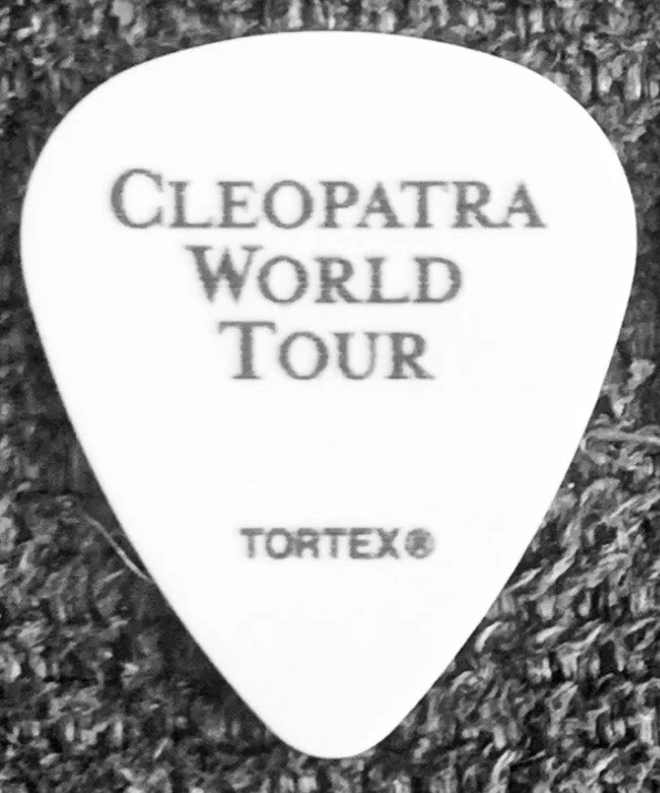 THE LUMINEERS Guitar Pick Gig Used White, изображение 2