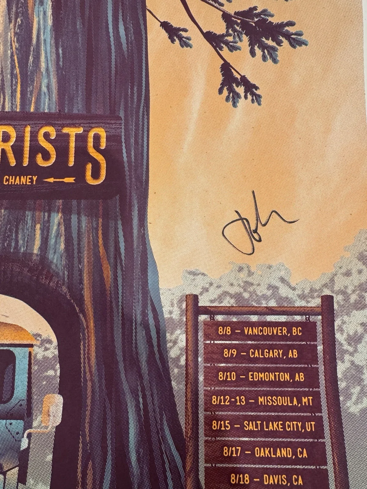 THE DECEMBERISTS Band SIGNED Poster 2017 Summer Tour With Olivia Chaney, изображение 3