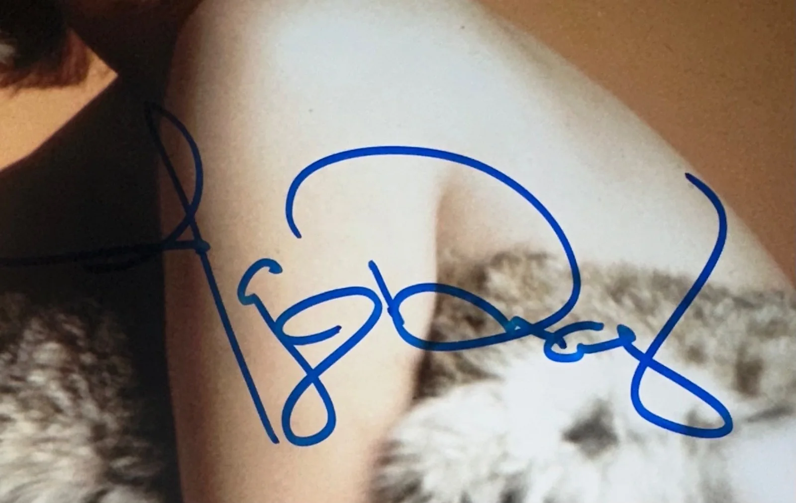 FAYE DUNAWAY SIGNED PHOTO 8 X 10 AUTOGRAPHED BONNIE AND CLYDE, изображение 2