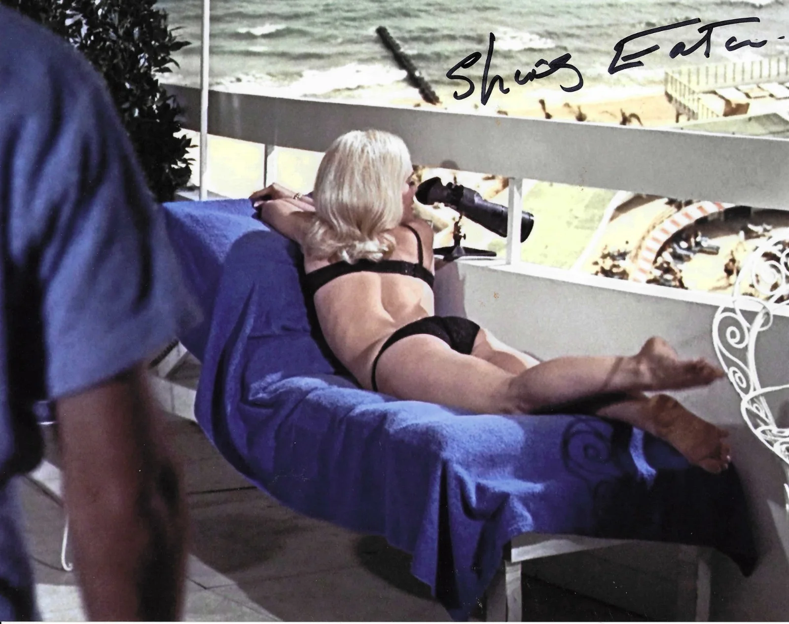 Shirley Eaton — SHIRLEY EATON - Signed GOLDFINGER striking photo 8x10 w. COA