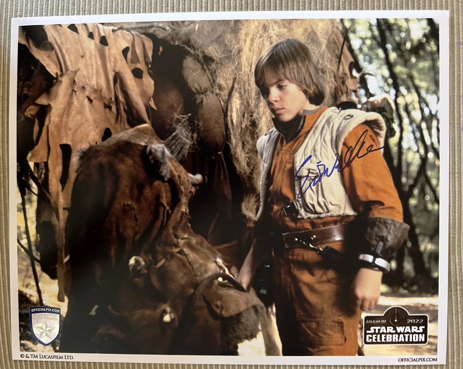 Eric Walker — Star Wars Celebration- Eric Walker signed Mace 8x10 Official Pix photo shield
