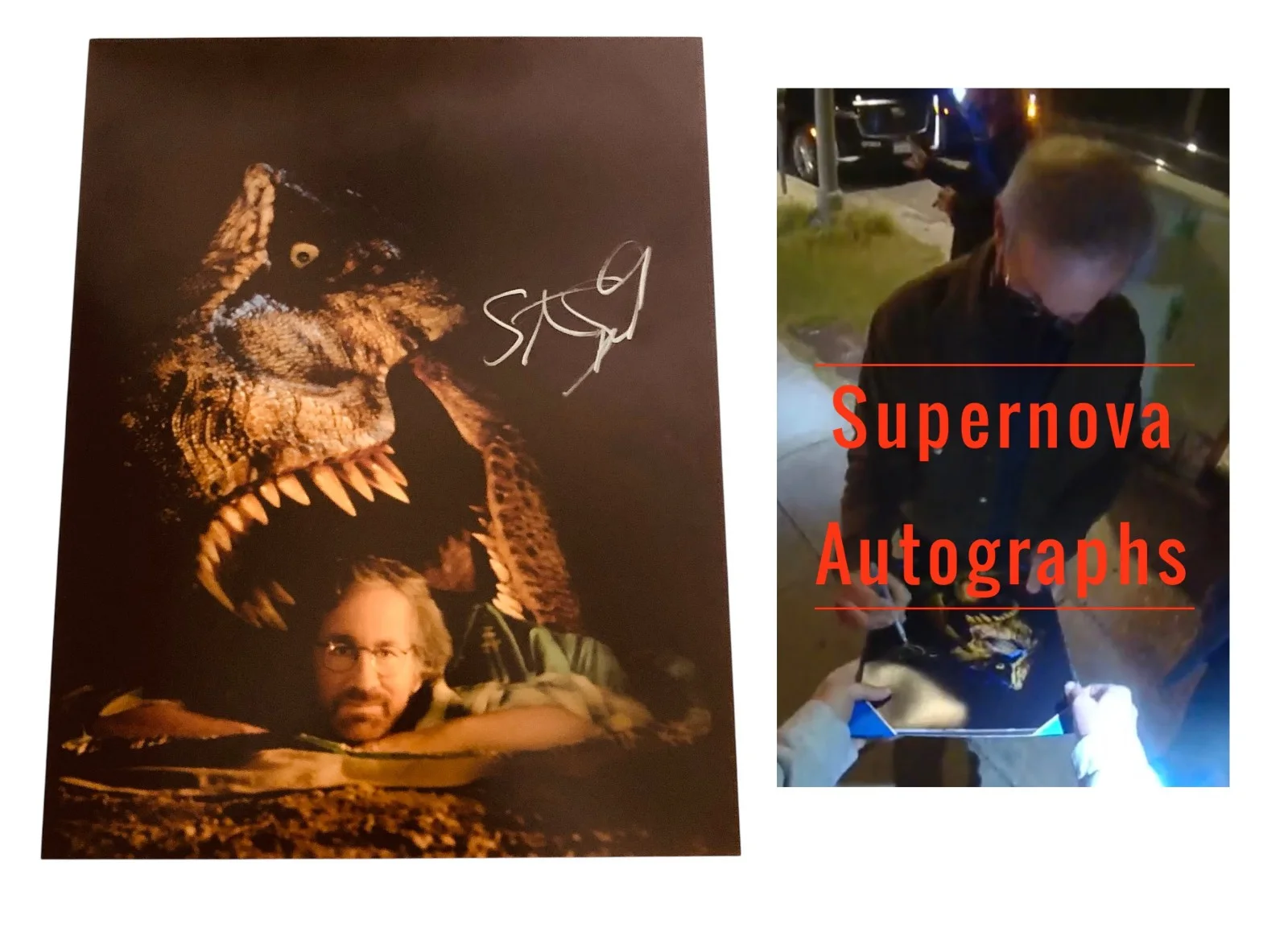Steven Spielberg — Steven Spielberg Signed Autograph Jurassic Park 11x14 Photo Exact Photo Proof