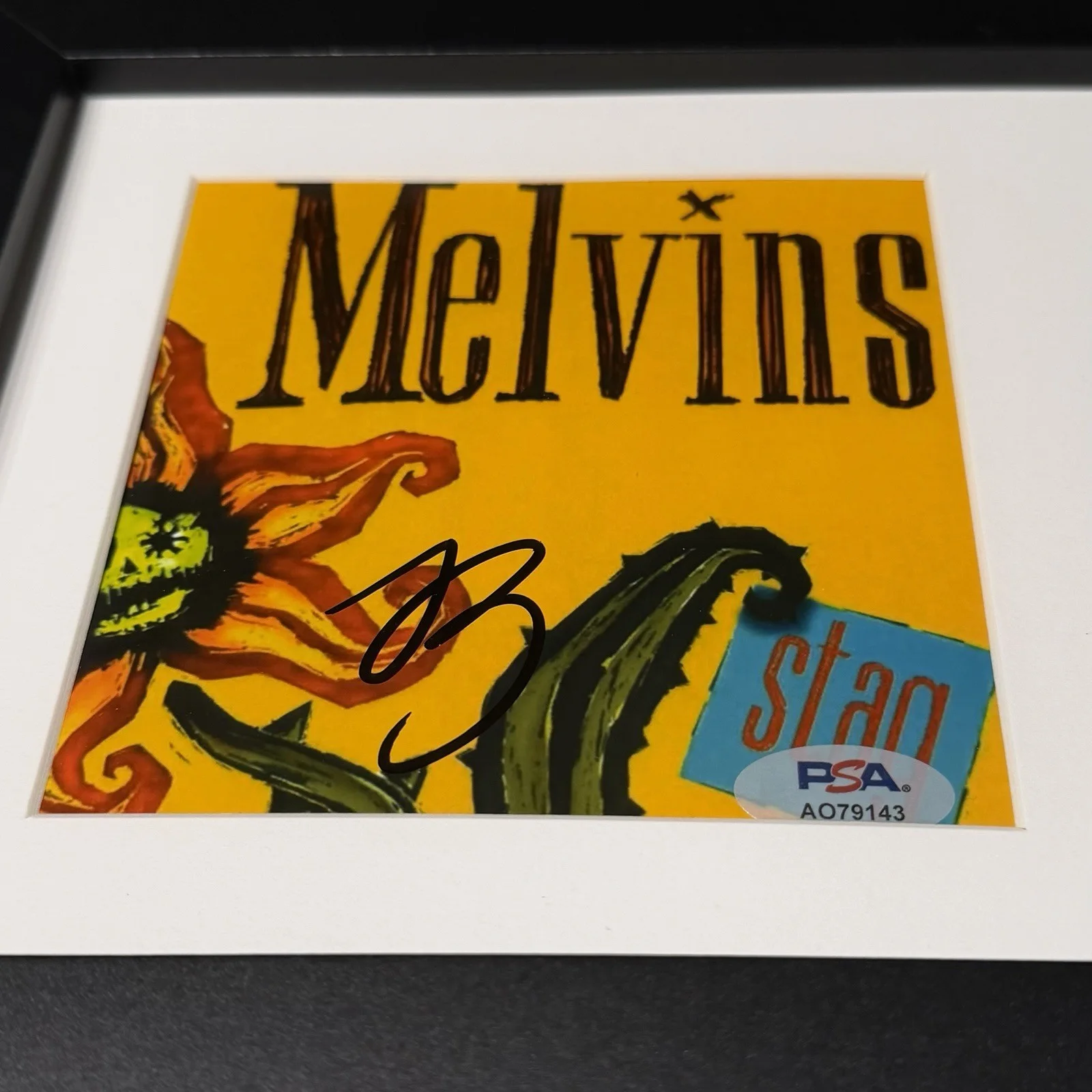 BUZZ OSBOURNE MELVINS SIGNED STAG CD ALBUM AUTOGRAPH FRAMED PSA COA, image 2