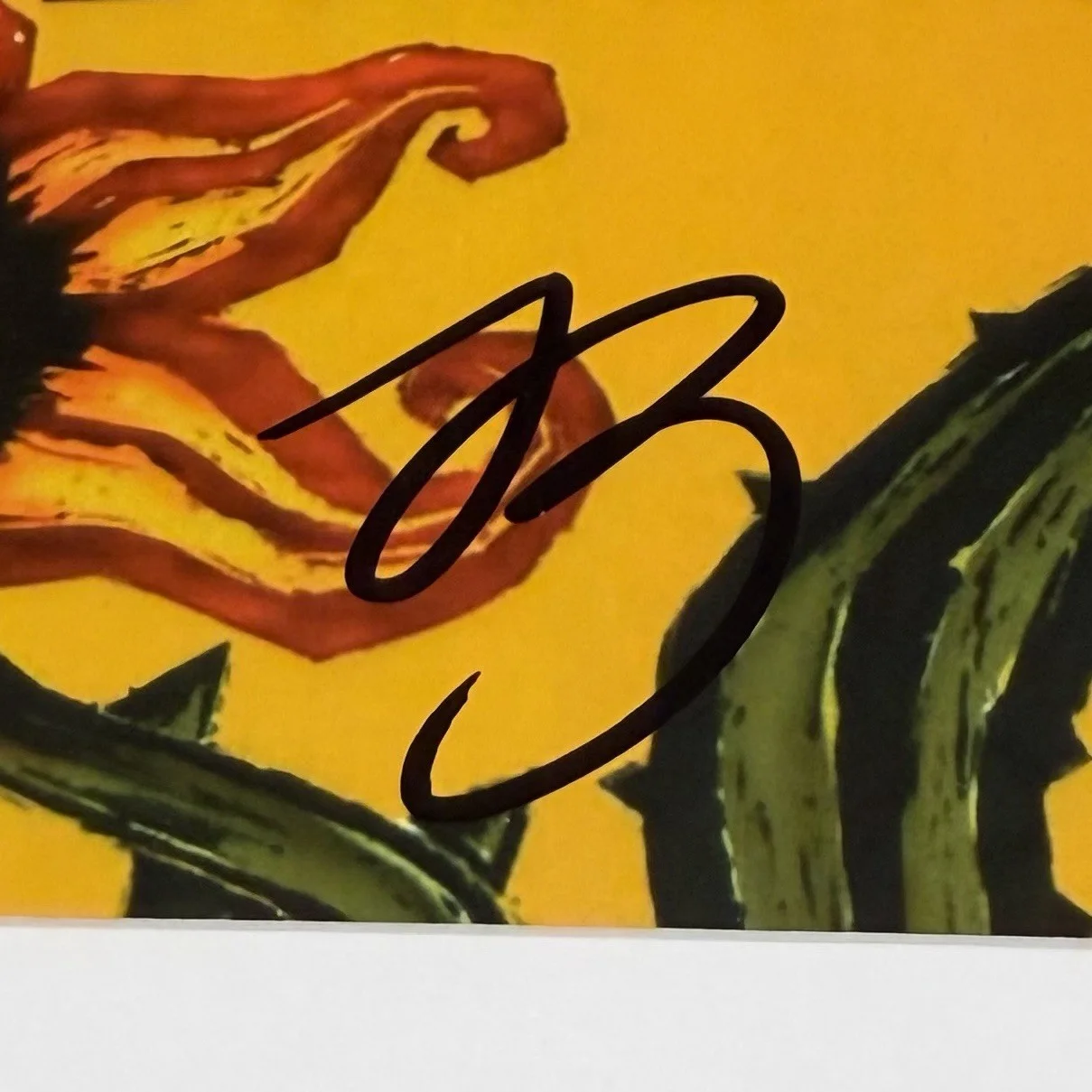 BUZZ OSBOURNE MELVINS SIGNED STAG CD ALBUM AUTOGRAPH FRAMED PSA COA, image 3