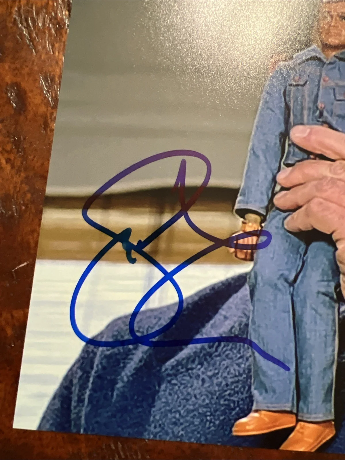 Steve Carell — Steve Carell Signed 8x10 Photo JSA Coa Autographed The 40 Year Old Virgin, image 2