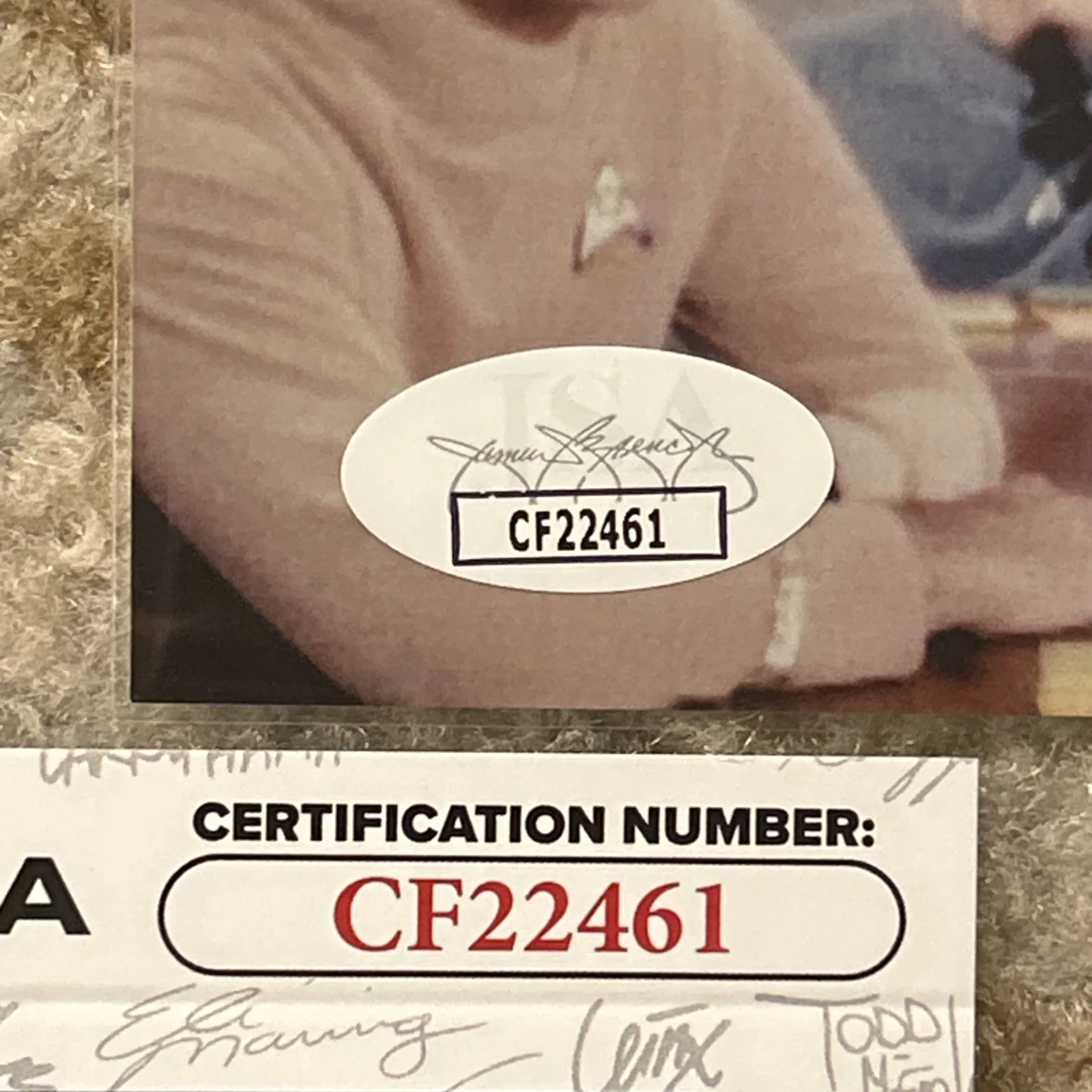 Paul Carr — Paul Carr StarTrek LT Lee Kelso Signed 8x10 Color Photo JSA Authenticated, изображение 3