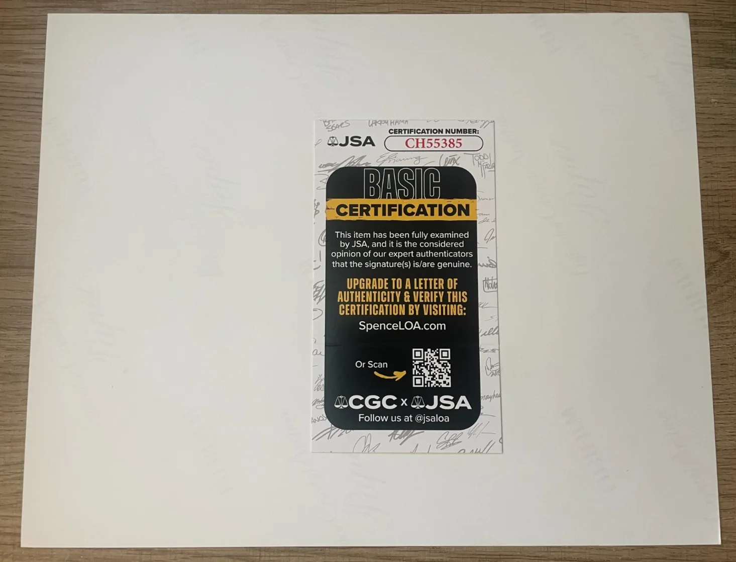 Dan Castellaneta — Dan Castellaneta autographed 8x10 photo JSA Authenticated HOMER SIMPSON, изображение 2