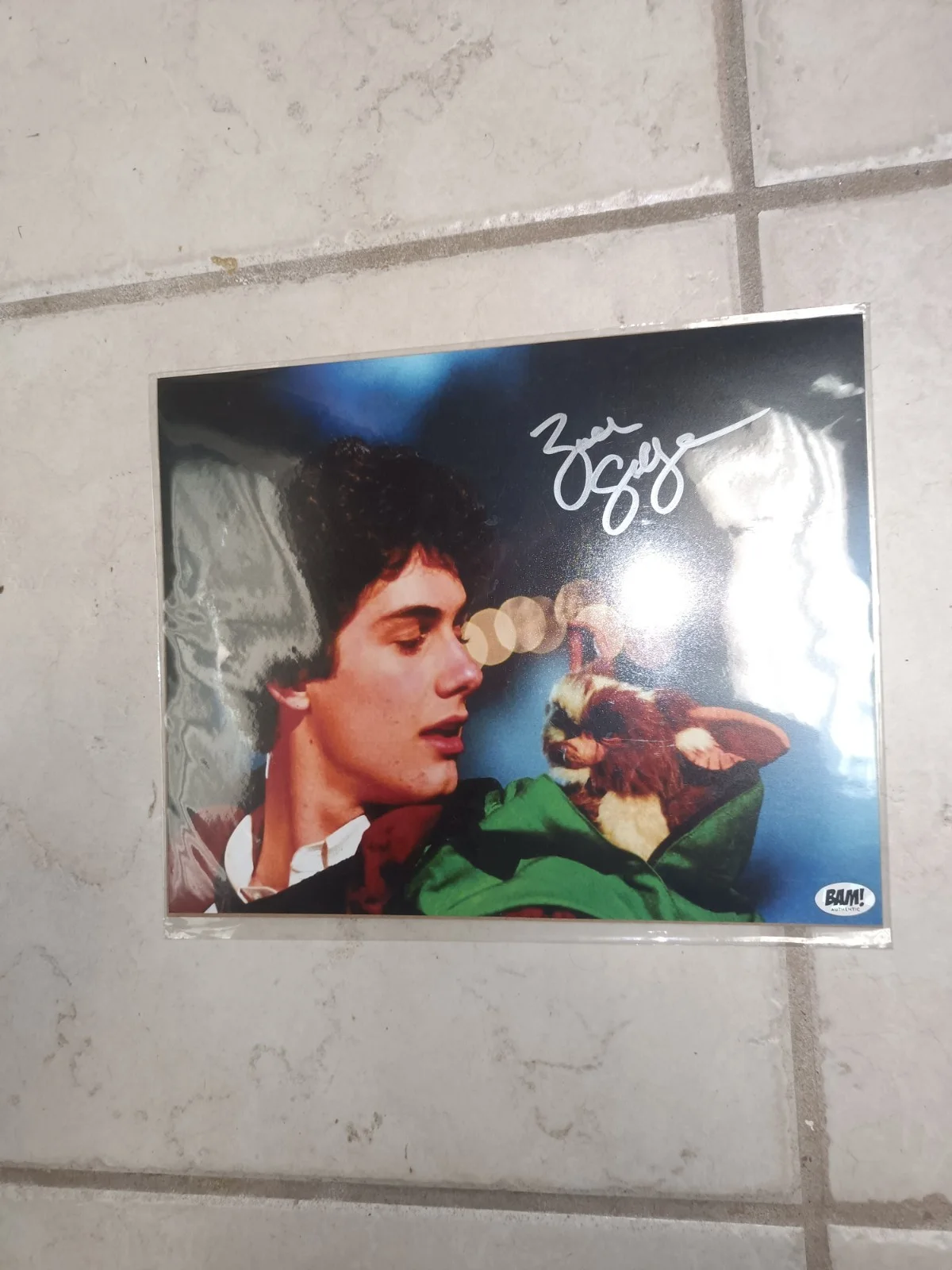 Zach Galligan — Gremlins Zach Galligan Authentic Signed 8x10 Photo Autographed Billy Peltzer COA