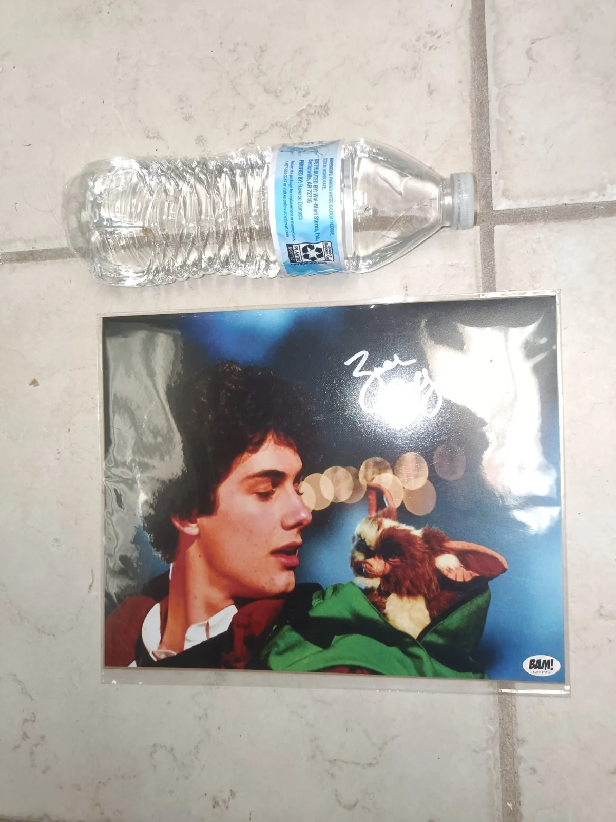 Zach Galligan — Gremlins Zach Galligan Authentic Signed 8x10 Photo Autographed Billy Peltzer COA, изображение 2