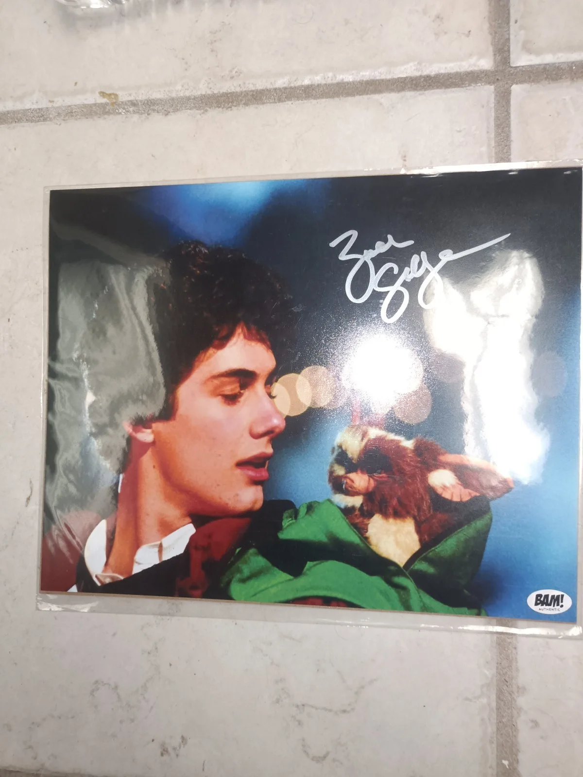Zach Galligan — Gremlins Zach Galligan Authentic Signed 8x10 Photo Autographed Billy Peltzer COA, изображение 3