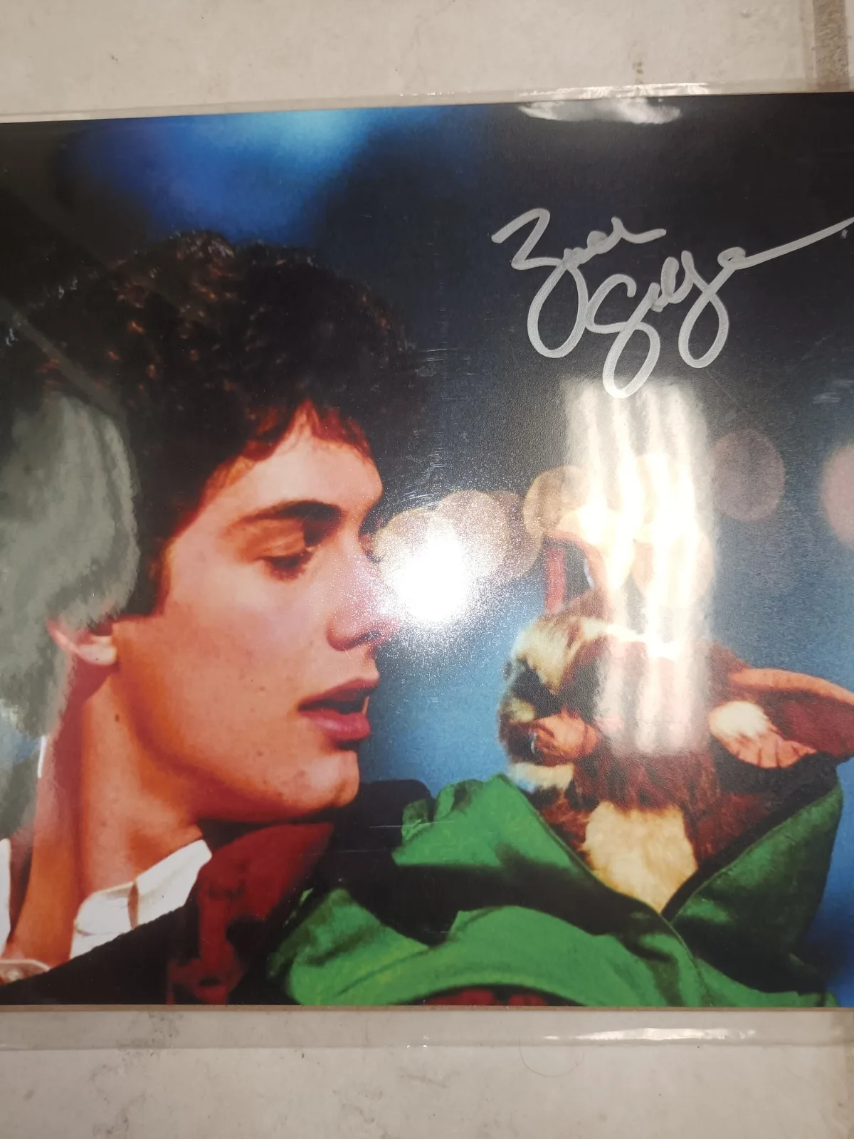 Zach Galligan — Gremlins Zach Galligan Authentic Signed 8x10 Photo Autographed Billy Peltzer COA, изображение 5