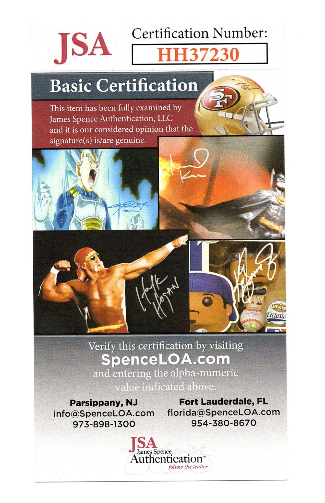 Paul Anka Signed 8x10 Color Concert Photo - JSA Authentication, image 4