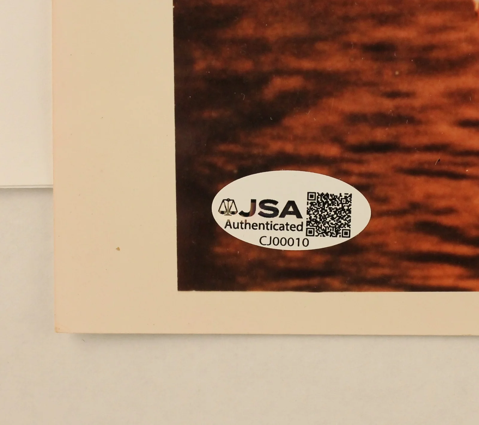 Raquel Welch — Raquel Welch Signed 8x10 Photo from One Million Years B.C. JSA Authenticated, изображение 2