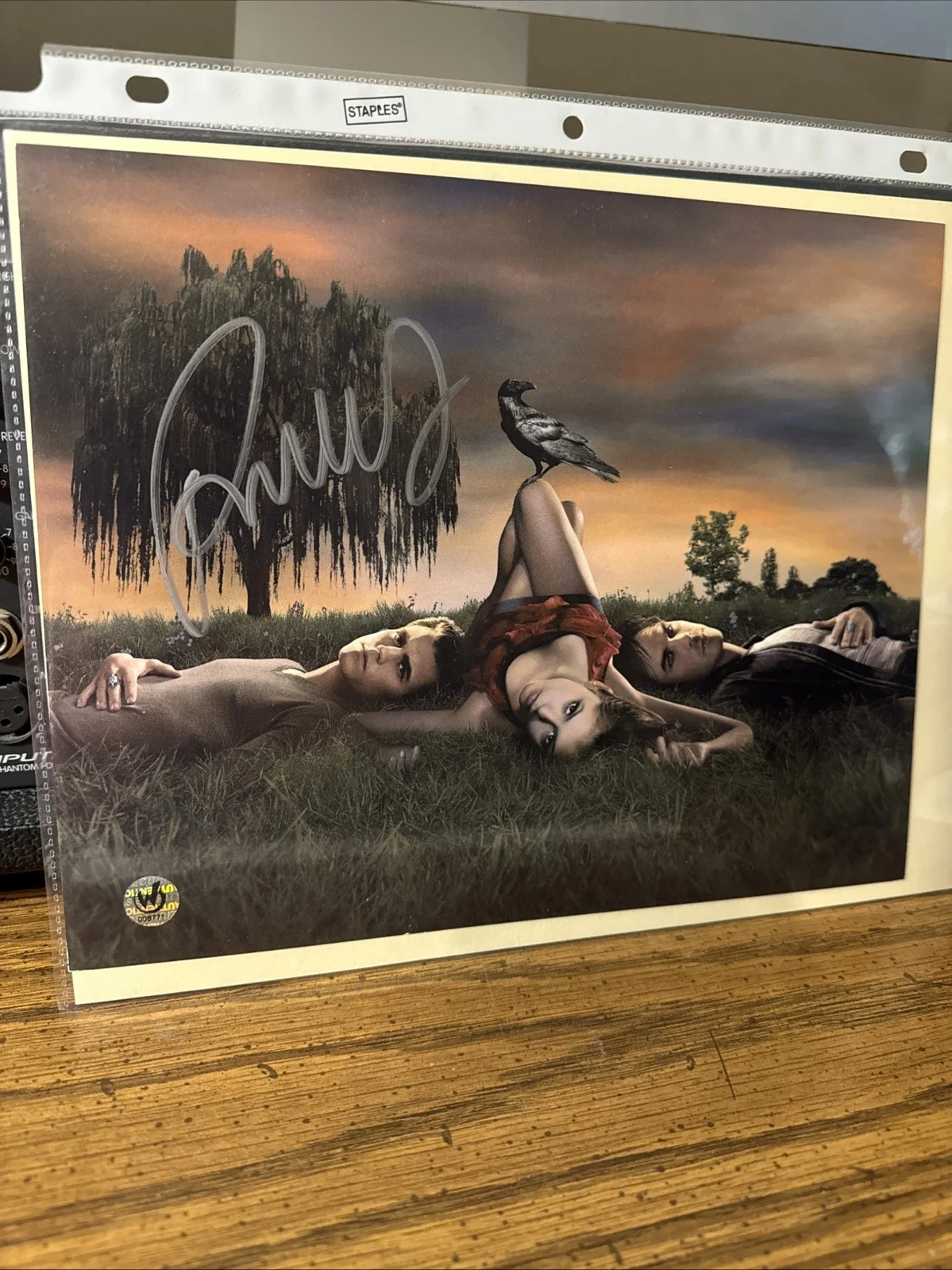 PAUL WESLEY — PAUL WESLEY SIGNED PHOTO 8X10 THE VAMPIRE DIARIES Salvatore AUTOGRAPH WW COA