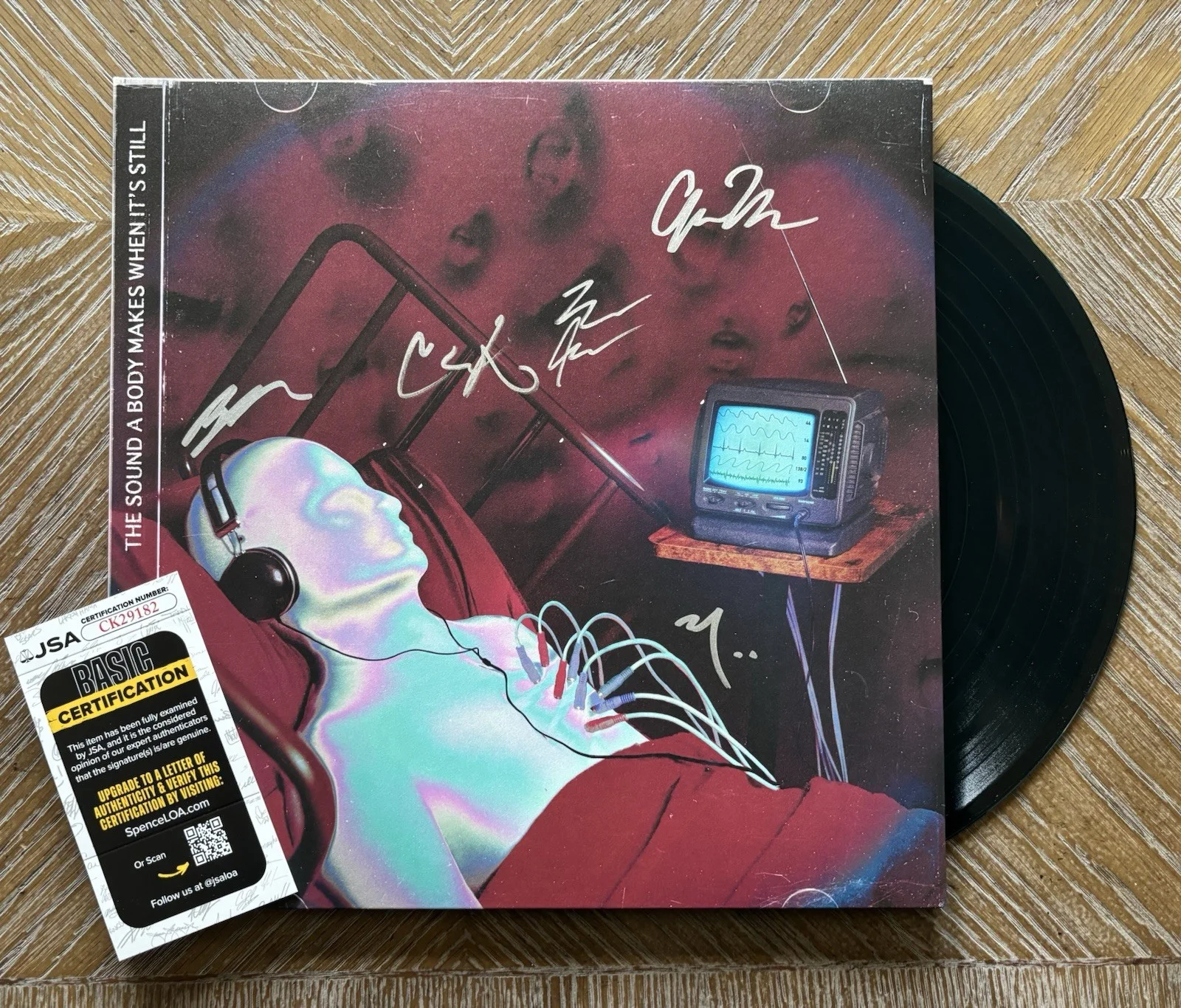HOT MULLIGAN THE SOUND A BODY MAKES WHEN IT'S STILL Signed Vinyl LP record JSA, изображение 2