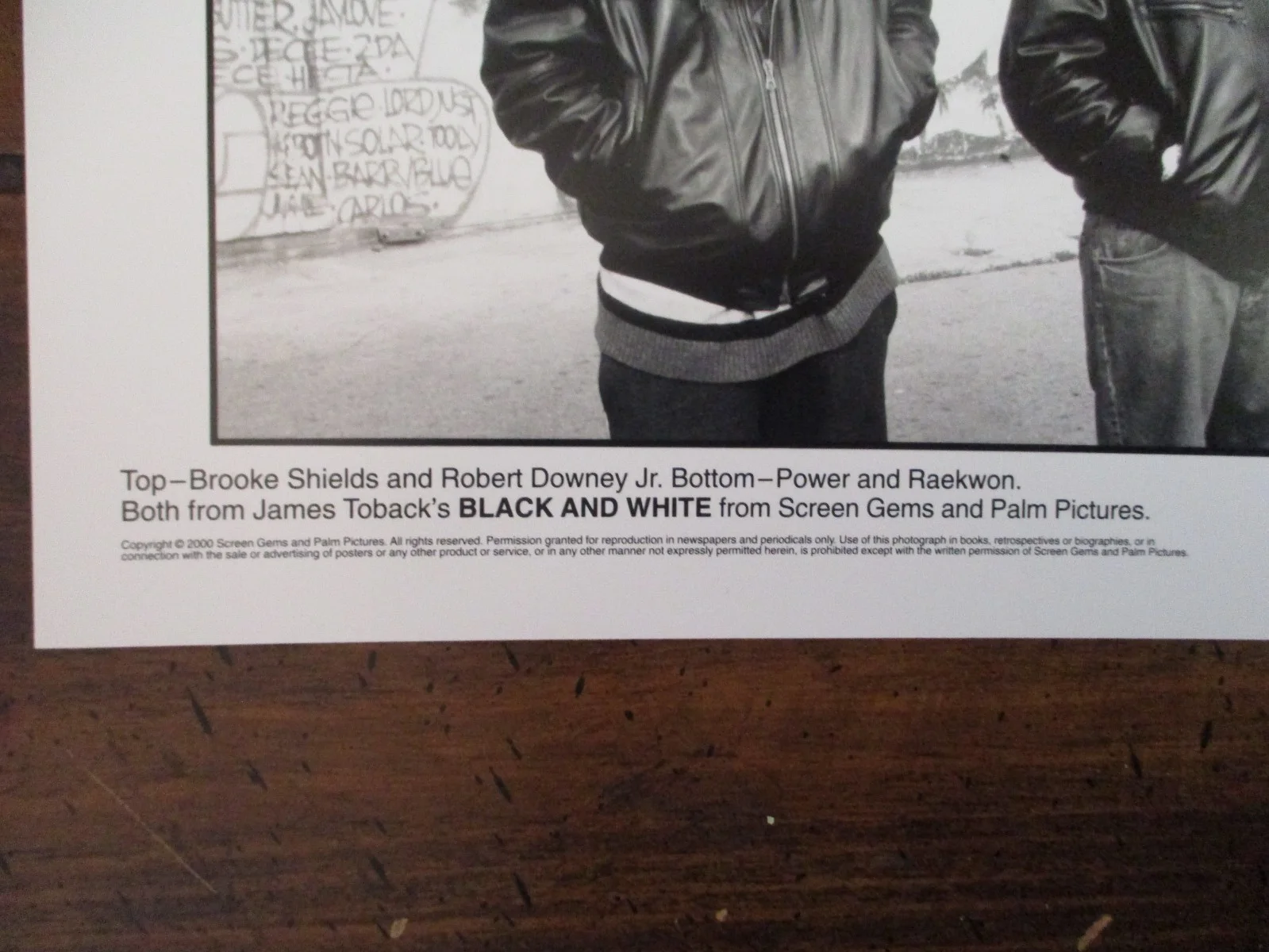 Robert Downey/Brooke Shields/Raekwon(BLACK AND WHITE)2000 8 x 10 B&W Press Photo, image 3