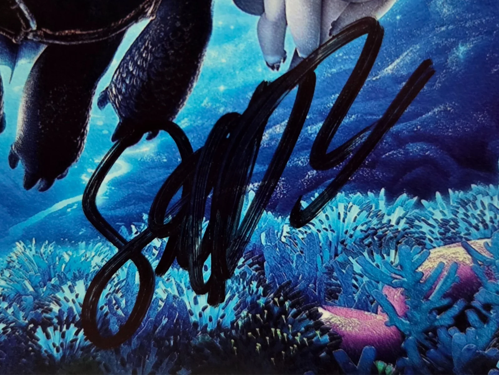 Jay Baruchel Hand Signed Autograph 8x10 Photo In Person How to Train Your Dragon, изображение 2