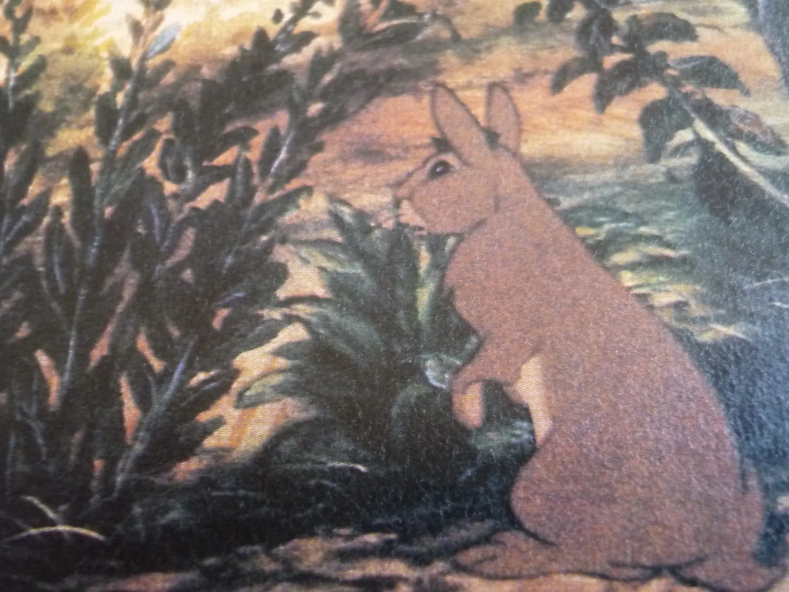 Watership Down framed a4 Richard Adams 1978 Movie scenes bigwig spots dog loose, изображение 2