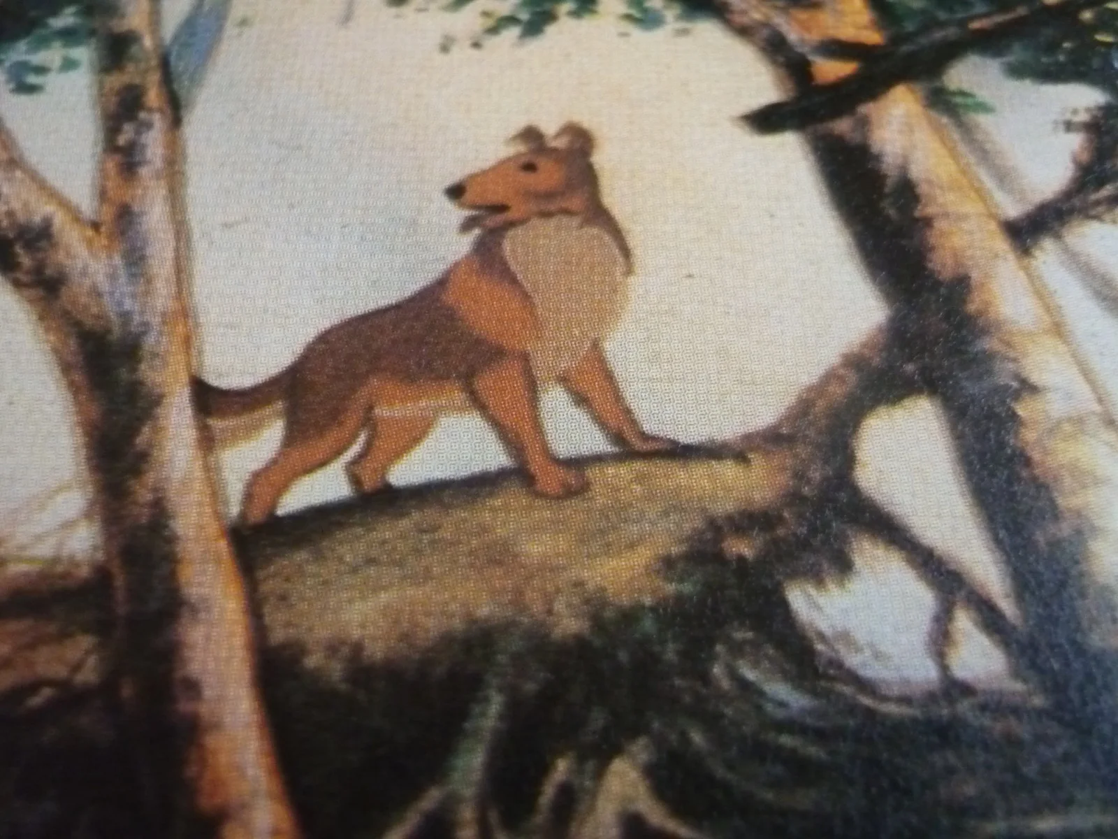 Watership Down framed a4 Richard Adams 1978 Movie scenes bigwig spots dog loose, изображение 3