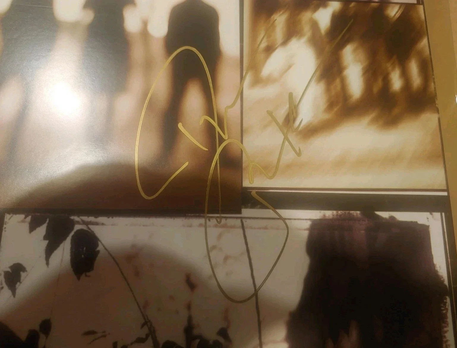 DARIUS RUCKER Signed CRACKED REAR VIEW Vinyl Album DNA COA Hootie & Blowfish, изображение 2